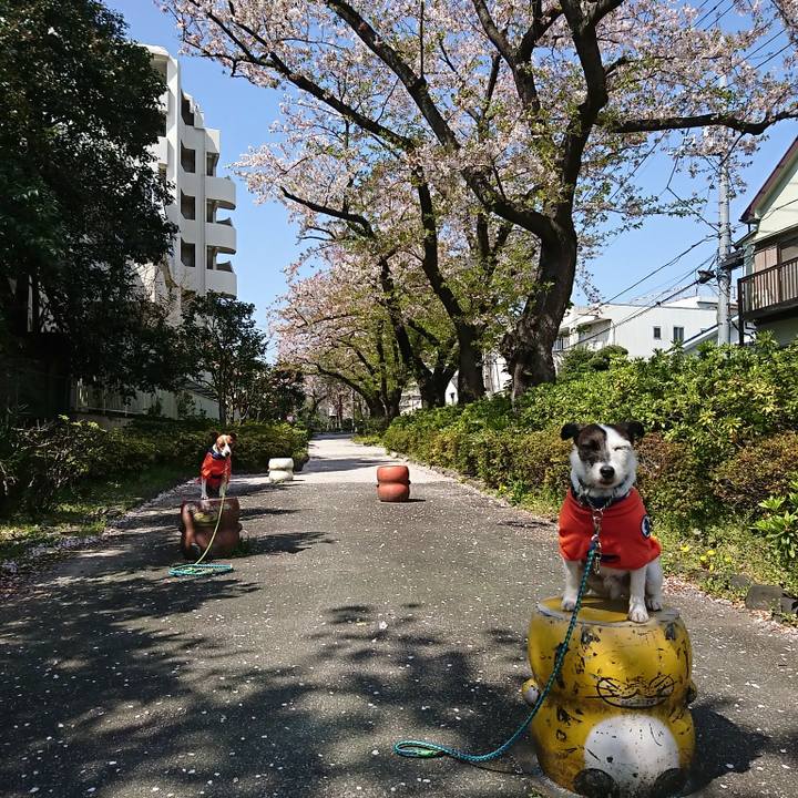 87111671 bac8 4d1e 8799 247a969f655f 1585964217301