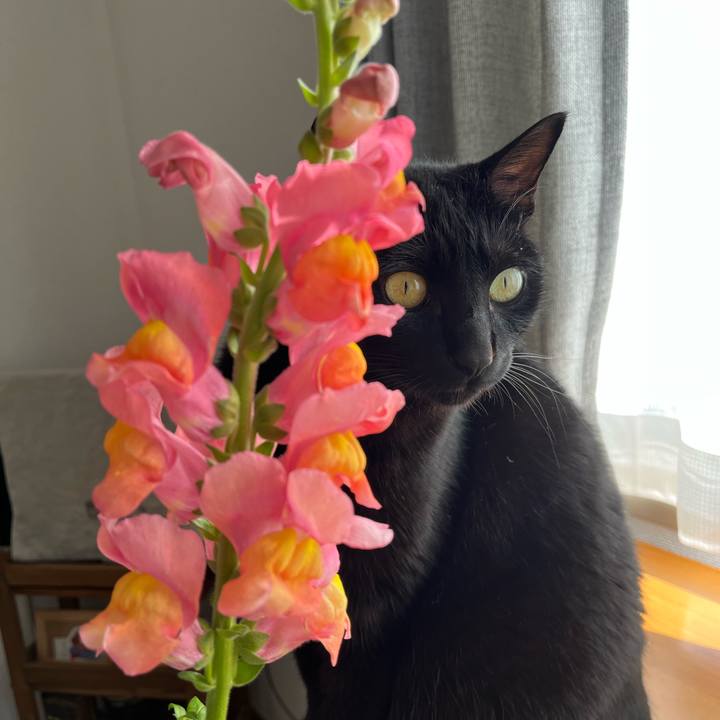 87111ca2 e77f 437c b66c 0ec6b11f7cbe 1676607471563