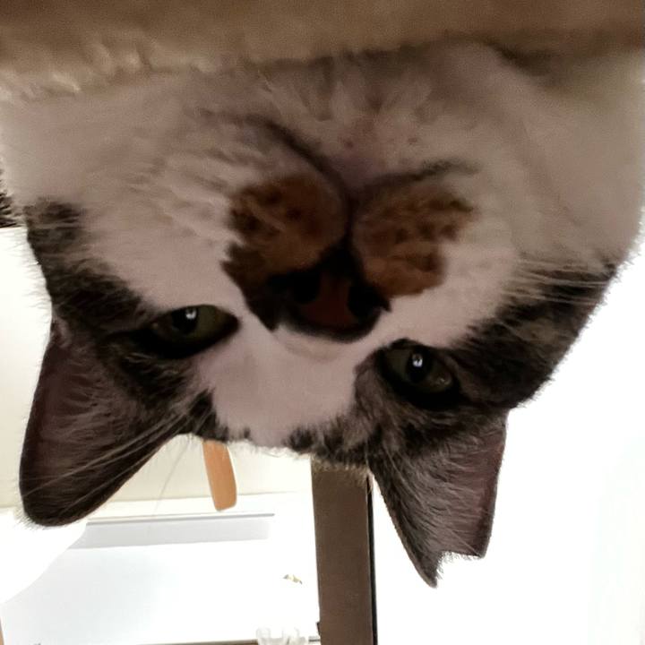 87112d64 f0dd 41ee 8712 bc705df50eaf 1759928152158