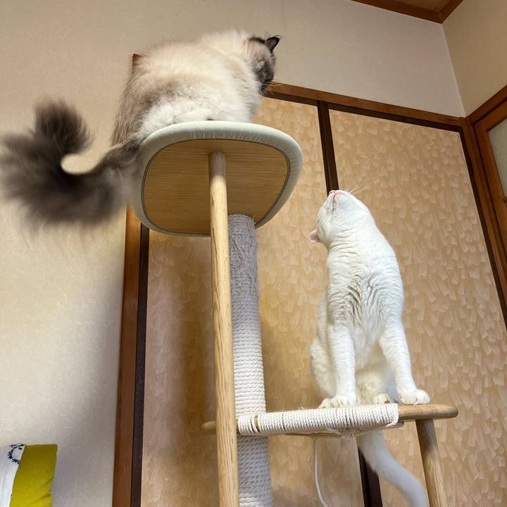 87114309 3518 4860 b47c b31237c51079 1726309181309