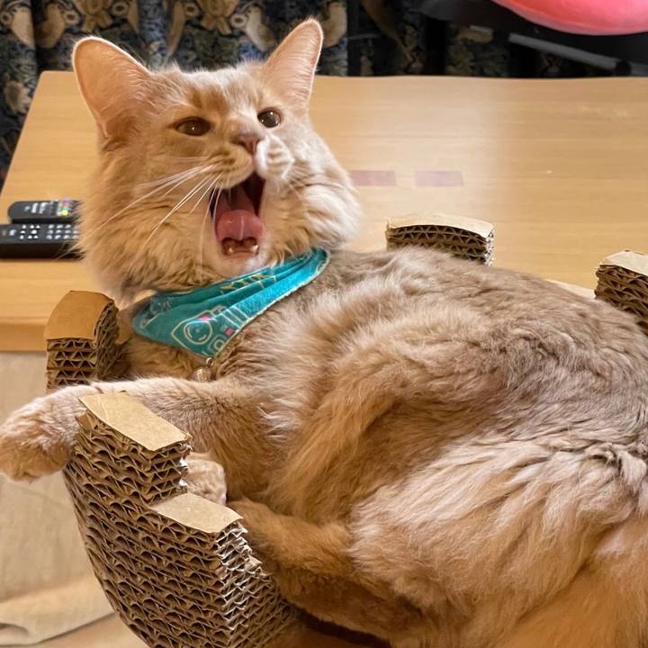 87115690 0a38 45ec 8de3 6d2bc9034fd1 1641645328818