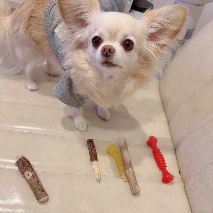 871159cf 931e 4331 ac6b 13694ae8de3c 1775049123919