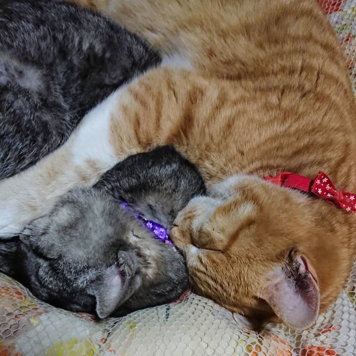 8711912a e353 45a8 a4bb 406ecd26f90c 1578402760559