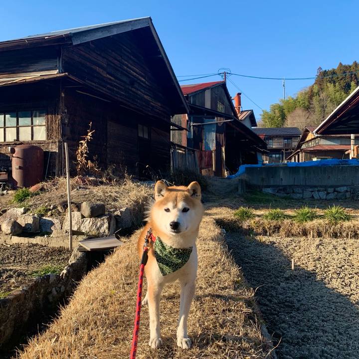 871197a3 924c 481c 914f 039b2b918b3b 1677494566946