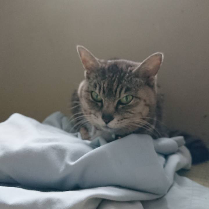 87119a65 09e2 4f6c bcf2 a86dd858b1ec 1592517300470