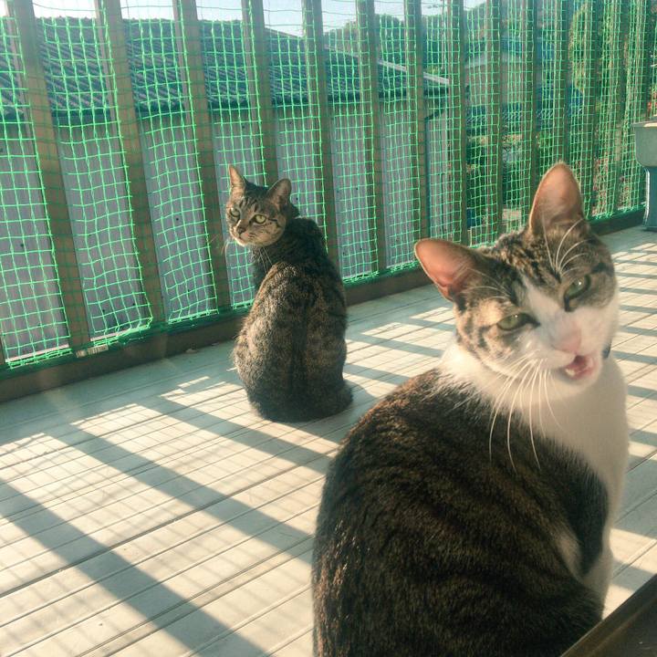 8711b415 52e0 47b6 aa1c 177c0933e5ff 1512174518510