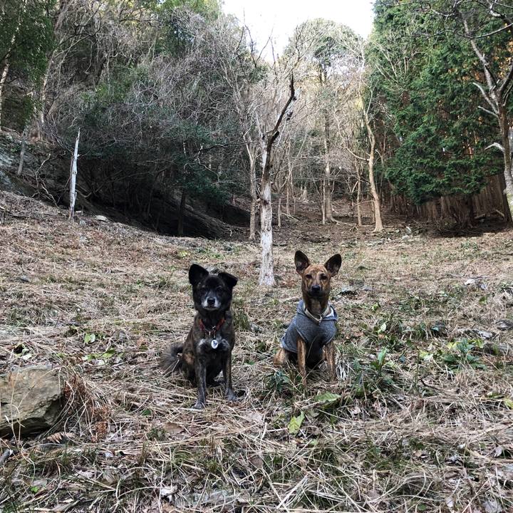 8711eca3 e71f 4415 8910 6238d3701844 1580812098751