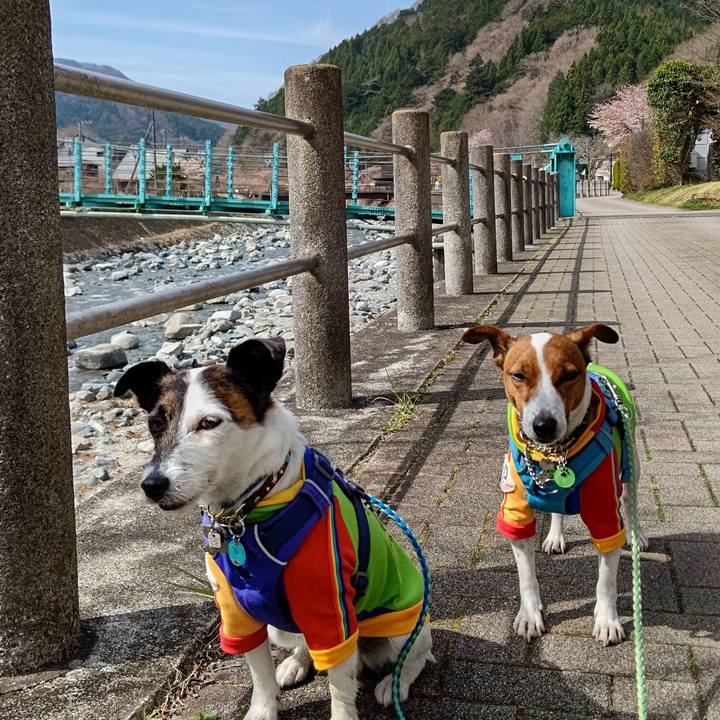 8711ece7 f459 4501 a228 a3ddc68736fc 1649641808150