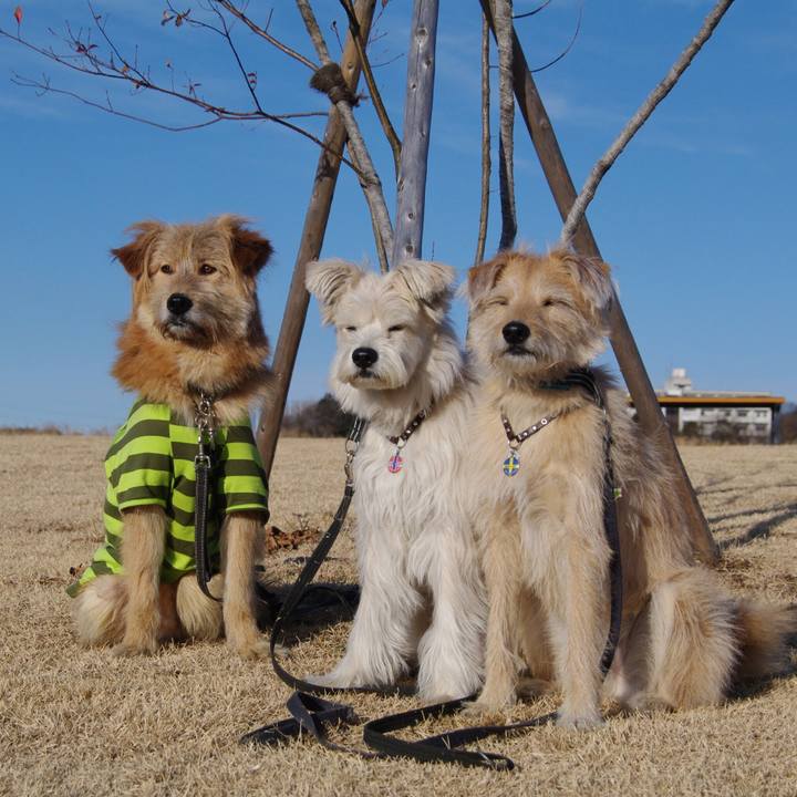 87121de5 16fe 4fdb a657 0cb9993335cf 1555909165500