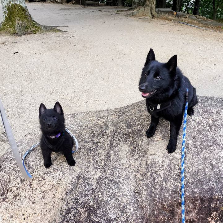 87122262 7d46 4c3f 8e68 ce4c92c8879e 1748647539192