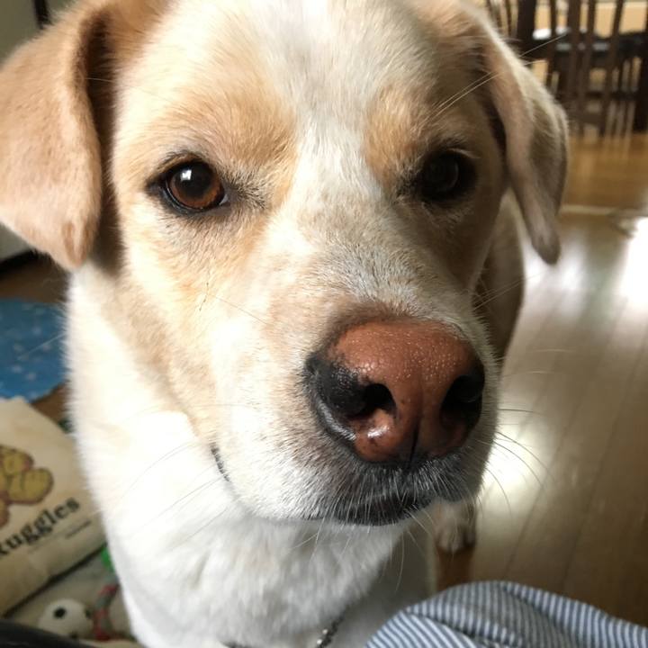 8712282b 012e 4a31 8855 b42ddc008cc6 1530344837025