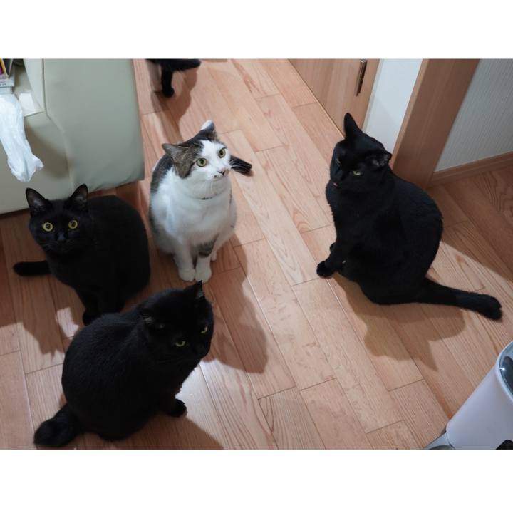 871239ad ce70 451d a3ea 4832c4bdbe5a 1593267927100