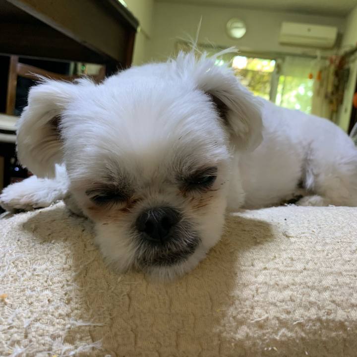 87129750 a7a1 4f48 acdd 020ecff553b9 1698574086120