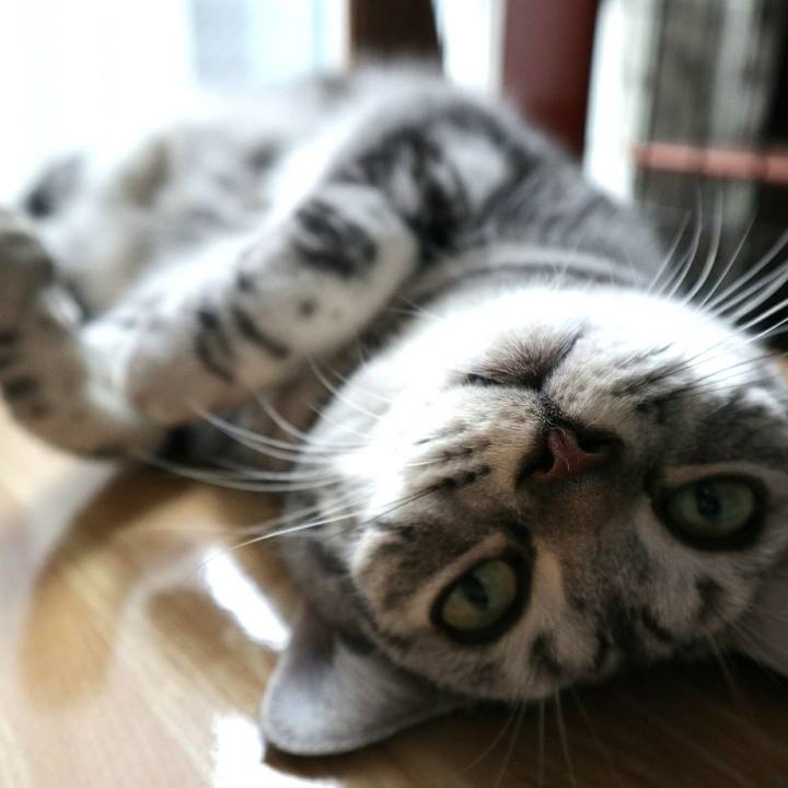 8712b642 29f1 4beb a352 c9b2ba812aa7 1599894504735