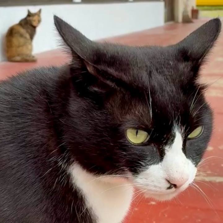 8712da78 8fd3 4e72 a1df ca39dd0b7be8 1748924997506