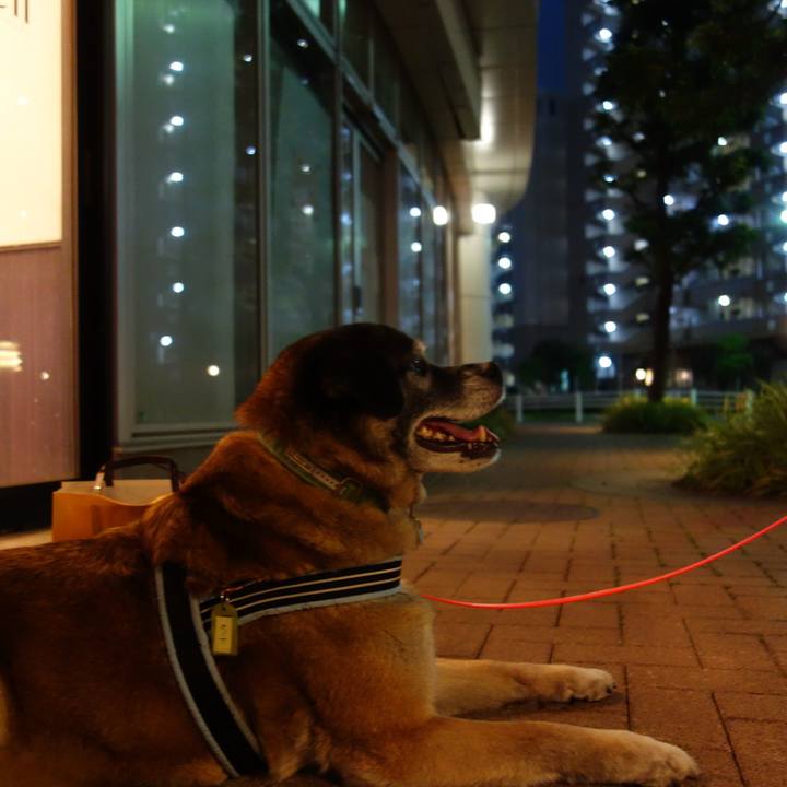 8712e44b a675 4f8f 96d3 c14ba8c01f27 1528455823577