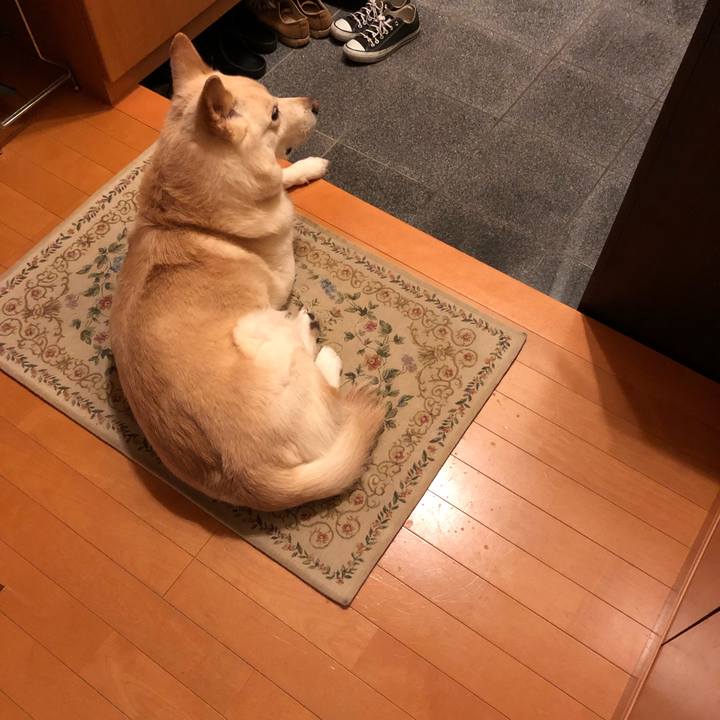 871313cd e622 40ba 8bc6 0a60ac993edc 1551178346478