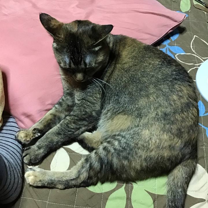 871357fa 4cf5 43c9 a524 c2602d961c40 1687356670301