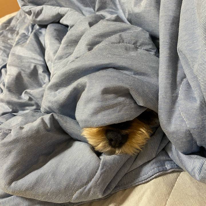 87135a4c 16c0 4f56 85b5 9fc910057761 1595475503505