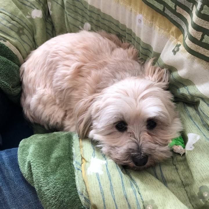 8713682f c105 454a ba47 cb33b1ce7974 1514124596226