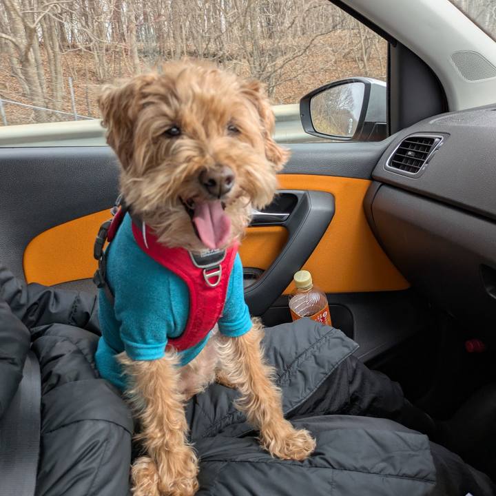 87136a19 ba0b 4fa4 8259 43500288403f 1772418174705