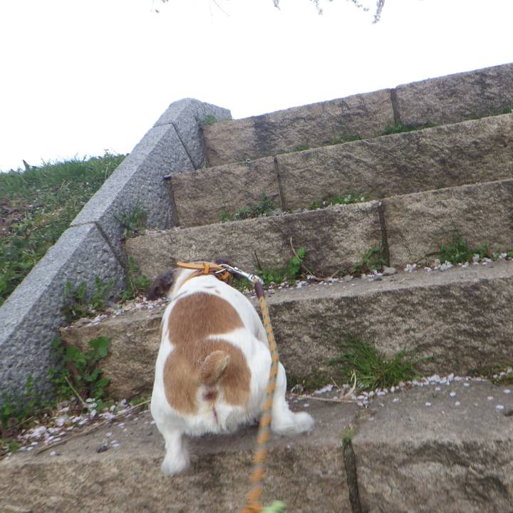 8713aaf0 d43b 46c2 8a2e d3f3ca22e9c3 1555682426306