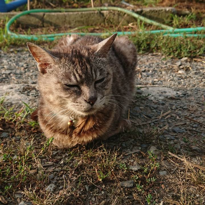 8713c44a 238d 4656 ad4e 5763a53a2de8 1565211937434