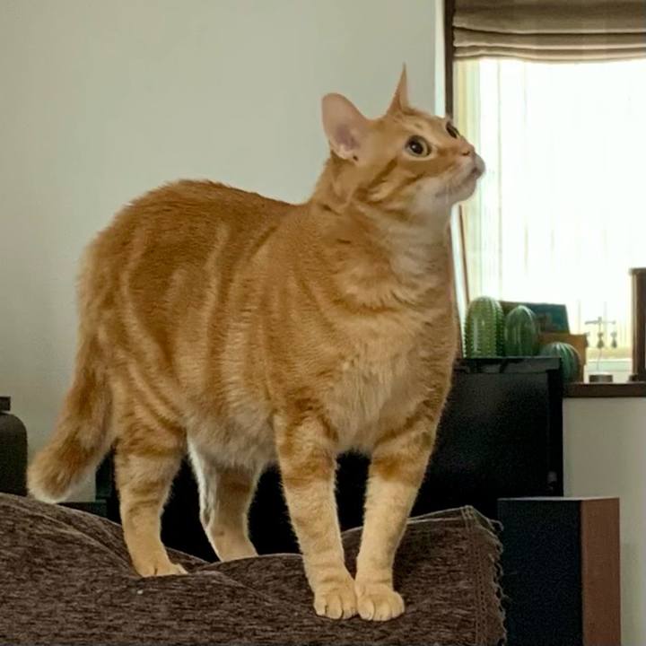 8713cec4 da8d 4ca2 b1ba 69741f27b33a 1626911867987