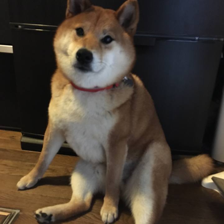 8713d13f 7591 4435 b566 967a8717ff20 1527632237910