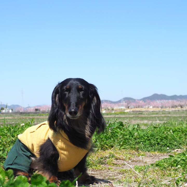 871408bd 81ed 4854 b7b0 ed87da17808a 1649137239394