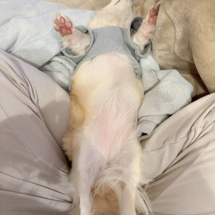 87142025 3eba 40b5 bf61 6d63402d7ffb 1775043620930