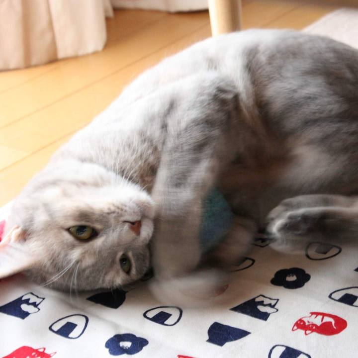 87148120 784a 44fa a430 99d9eead1499 1532859815681