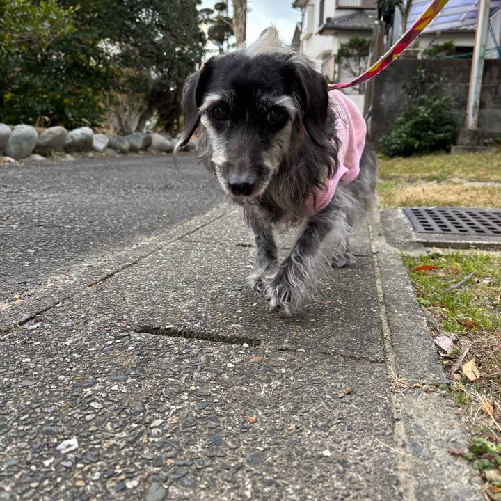 871481ce cfed 4e68 8977 d85f9558b499 1736550010665