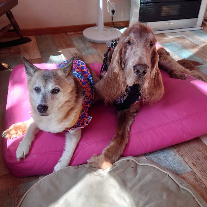 8714a540 b64c 43d7 9275 1e2847720dca 1727053589738