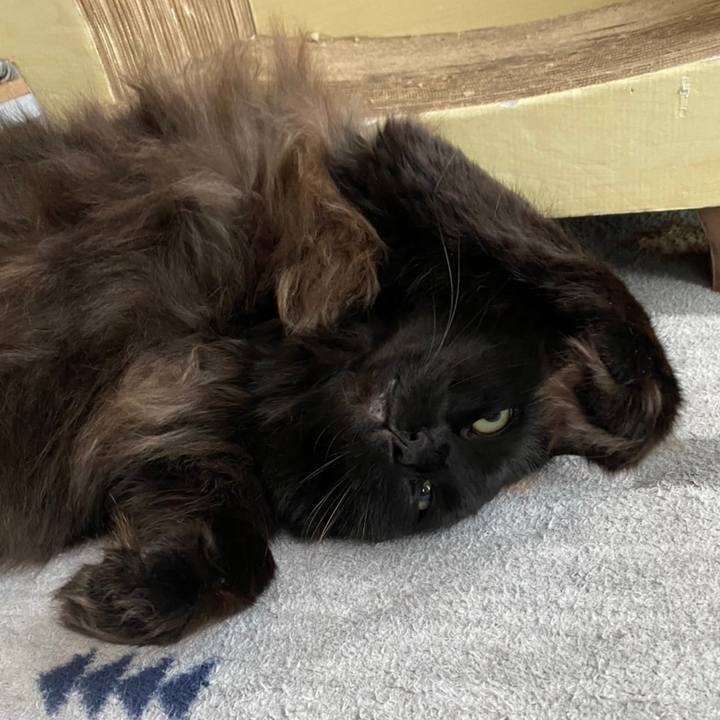 8714a5ce 4d81 400e a5e0 6baf362e089e 1611200690623