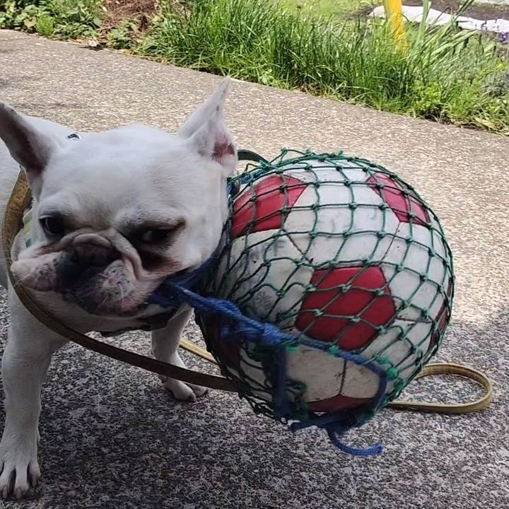 8714c090 f4bf 47b2 9acd c2b896fd79c5 1684640310034