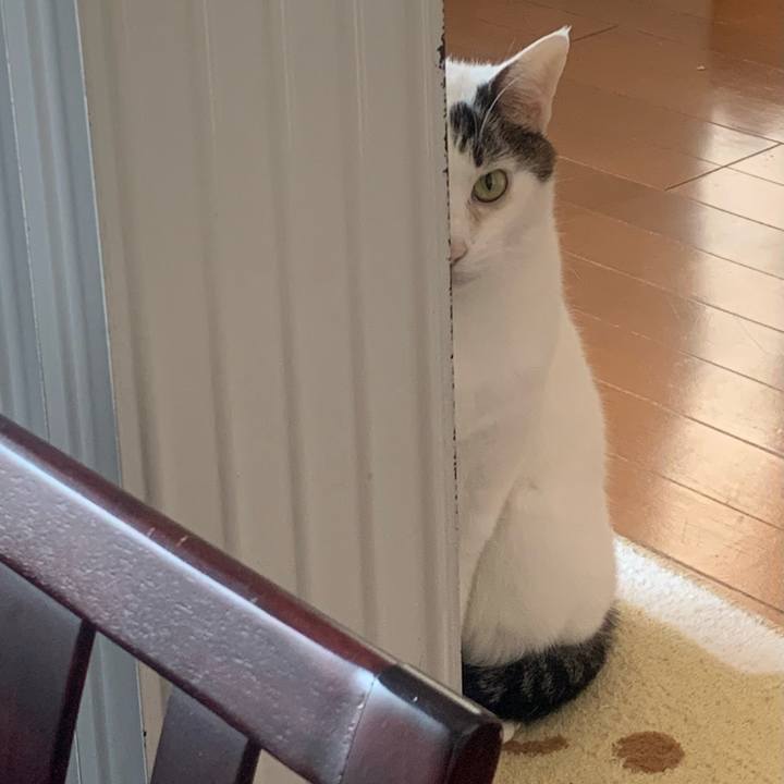 8714ef02 1e62 440d 817c 271891a0abd3 1769220796223