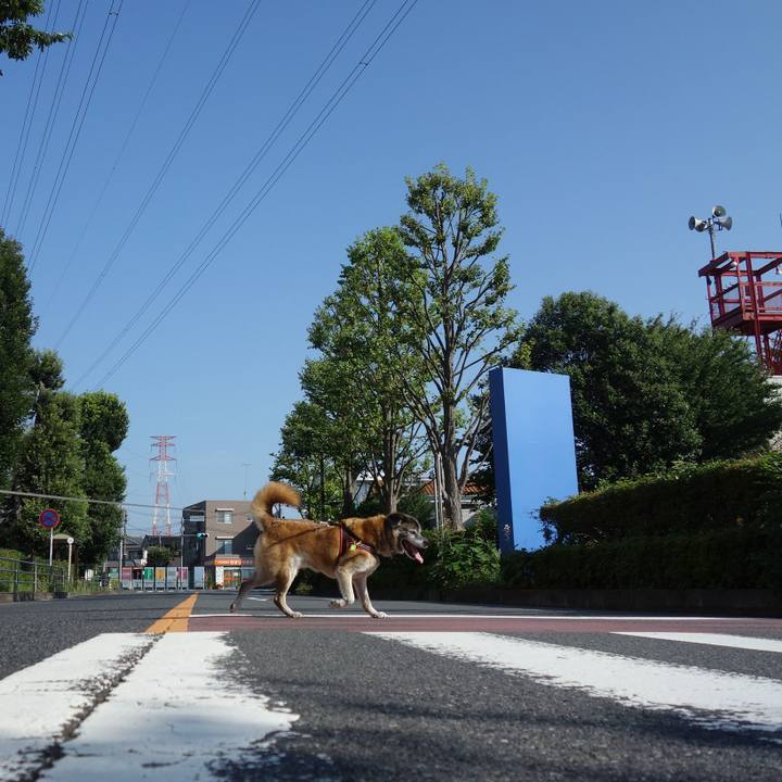 871530c0 0ca1 4fbf 804e b63a4db76799 1565997290804