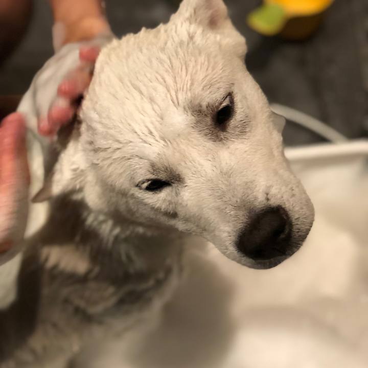 87153922 fd68 46e6 8cd3 8e3aff181aeb 1528488236293