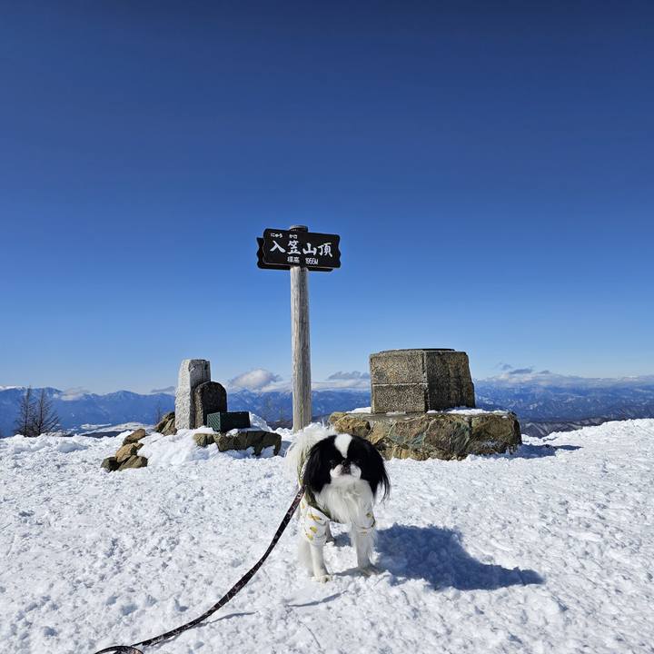 87154e89 2b2f 49b5 8e2e b7935c08575b 1707394922106