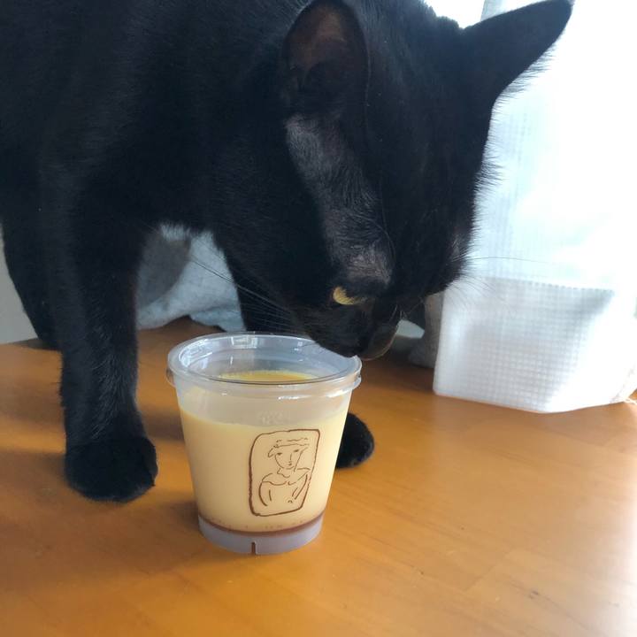 871555cb 516b 413f ab86 24ea199962b9 1601167335416