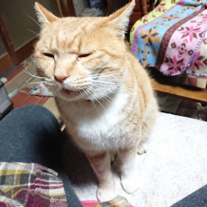 871556b6 a560 4015 adc7 0ff07ff1464c 1577044042167