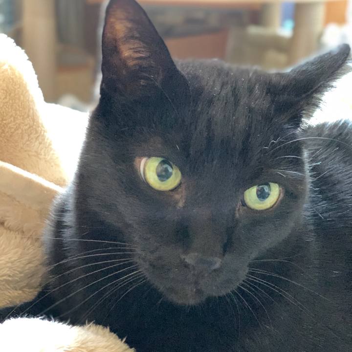 8715899e 1ccb 4978 978e 9b0c806888a4 1585358829134