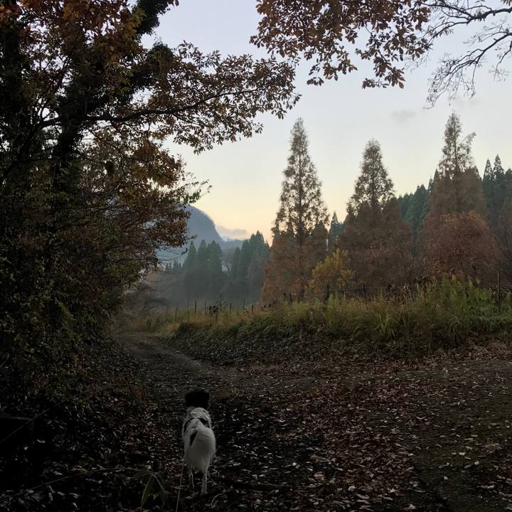 87159be2 8ec5 40e6 8b8c f4ec8f717ea6 1511848254203