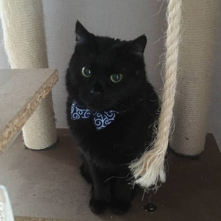 8715a083 5e5e 488d a873 741a81694cbb 1550785160671