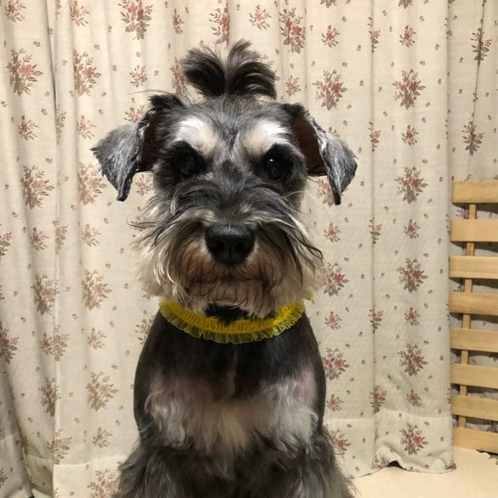 8715c144 d491 4041 b4fd 723dab82acf7 1587557783472