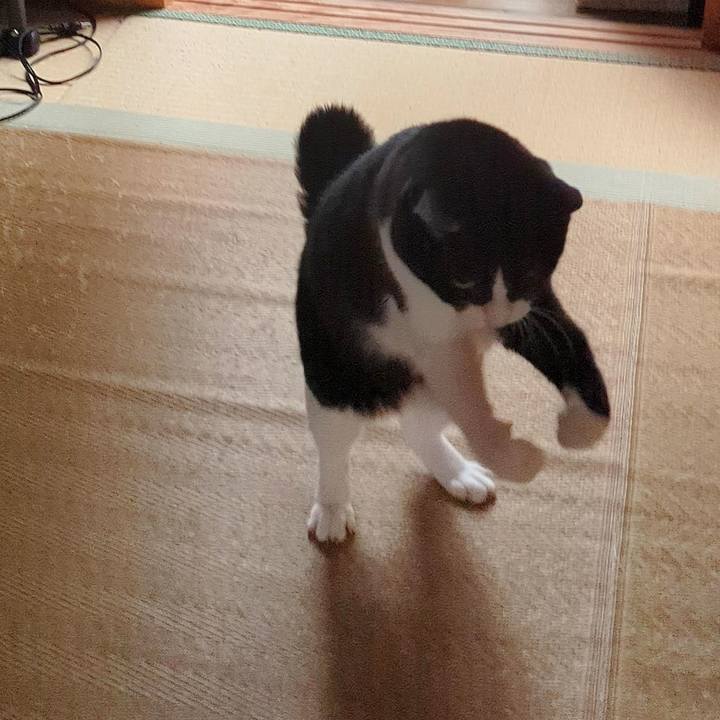 8715e111 9210 4513 b9a6 6cd52051820e 1696823651875