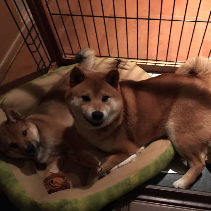 8715e8ff 5ebc 4458 8335 22417c21e2b2 1510352883948