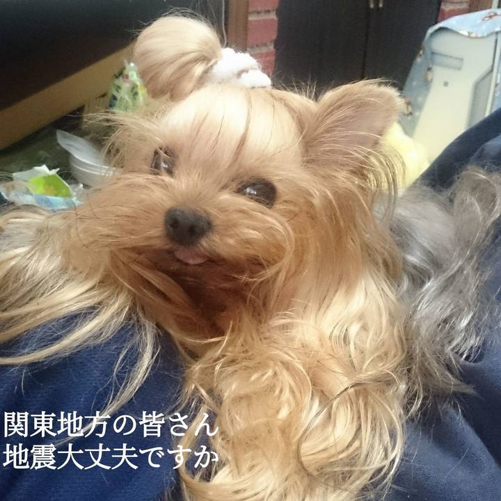 8715f280 d7ac 4055 927e 4fab97494a94 1633616517455