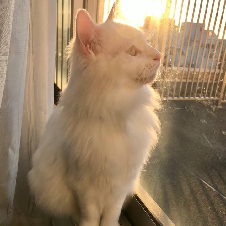 8715f4f0 a0c0 444c 945d 87dc4e82a684 1548581835587